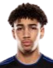 https://img.bjyfxzs.com/img/football/player/fb7fd3390bdc25307ce54843fe6472dd.png